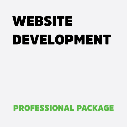 Professional Website Design