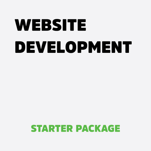 Website Development Service